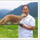 진교초등학교 이미지