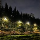 한강세무회계 이미지