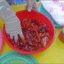 마시모 이미지