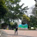 호텔 하버 | 홍콩 침사추이 빅토리아 하버 주변 구룡호텔 투숙 후기