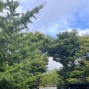 배내의 아침 | 부산 근교 계곡 양산 배내펜션 내돈내산 리얼 후기