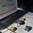 디뮤어 카라반 | 강릉글램핑 신상 디뮤어카라반 (감성 글램핑 후기)