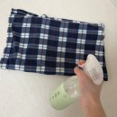 네츄럴홈 반려동물 탈취제 강아지 고양이 편백수 효능 고양이털 제거 꿀팁
