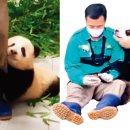 셀러바오