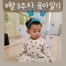 11개월 3주차(327~333일) 육아일기-어린이집 입학, 돌잔치장소알아보기, 결혼식 참석, 파주 신세계...