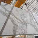 신세계를 찾아서 - 이미지