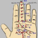 수지침요법 기본방 혈자리 공부하기 이미지