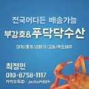 ＜포항＞ 포항 정민수산* 푸다닥수산 *부강호,,대게,홍게,고동,독도새우,과메기 전국택배 (1117) 이미지