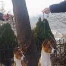 제나스테이 이미지