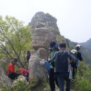 태산 Daum카페