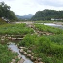 한성탑행정사 합동사무소 이미지