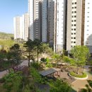 서정리 야외씨름연습장 | 다산신도시 적응기 2편_다산으로 이사 이유 + 신규 입주 아파트 커뮤니티(어린이날 행사 등)