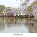 영산 만년교 이미지