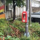 성서중심시장 이미지