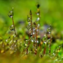 기억의 순간 이미지