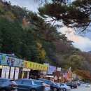 백양사 먹거리타운 이미지