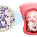 치즈약국 이미지