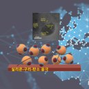 SK머티리얼즈그룹포틴