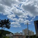 까치햇살약국 | 얕은 물가에서 발만 담그며 뛰어다닌 기분.