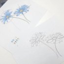 보태니컬 아트 전문가 이미지