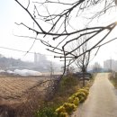 읍내리마을회관 이미지