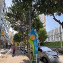 우산매일시장 이미지