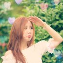 예몽 이미지