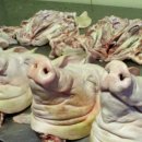 오케이족발 이미지