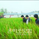 고향수퍼민박 이미지