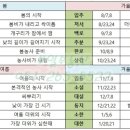 팥죽나라 이미지