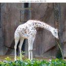 소망부동산공인중개사사무소 이미지