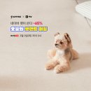 브랜드라이브