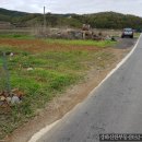 신한종합공인중개사사무소 이미지