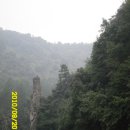보봉 Daum카페