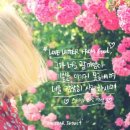 화이트 독 이미지