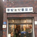 세화초등학교 | 제주 동쪽 구좌 소품샵 추천 여름문구사 내돈내산 방문 후기