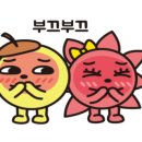 피콜로피자 이미지