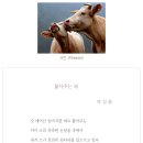 핥아주는 혀 / 박일환 『서울경제/시로 여는 수요일』 이미지