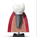 새로이치과의원 이미지