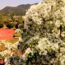 통양사랑테마공원 이미지