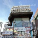 래핑포레스트 이미지