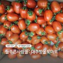 늘푸른사람들 - 동구 | 늘푸른사람들