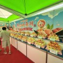 조치원농협전동지점 | 2026 조치원 복숭아축제 11만명 몰렸다, 1만8525상자 완판한 이유
