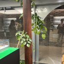 올드굿띵즈(OLD GOOD THINGS) 이미지