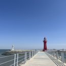 회뜨는바다 이미지