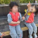 예림어린이집 이미지