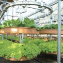 코리아팜(주) 이미지