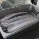 장어명가 이미지