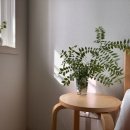 잡학다식 이미지