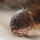 사천읍시장 브런치
